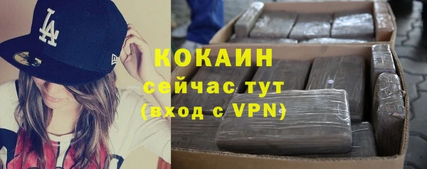 ПСИЛОЦИБИНОВЫЕ ГРИБЫ Вязники