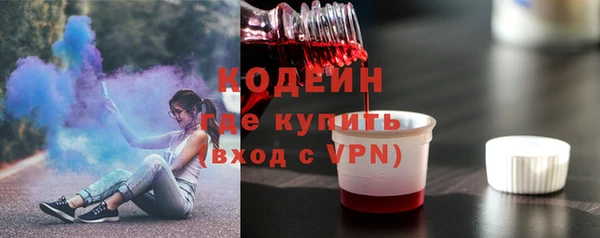 ПСИЛОЦИБИНОВЫЕ ГРИБЫ Вязники