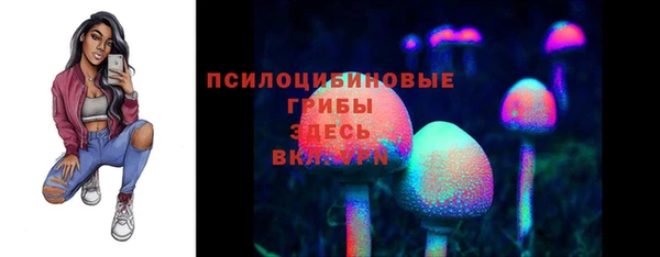 ПСИЛОЦИБИНОВЫЕ ГРИБЫ Вязники