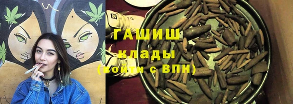 ПСИЛОЦИБИНОВЫЕ ГРИБЫ Вязники