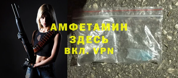 ПСИЛОЦИБИНОВЫЕ ГРИБЫ Вязники