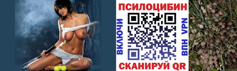 наркота  Кисловодск  Псилоцибиновые грибы Magic Shrooms 
