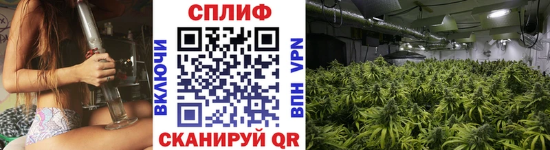 Марихуана AK-47  блэк спрут вход  Кисловодск  где купить наркотик 